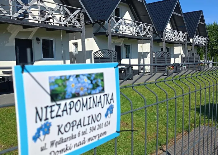 Niezapominajka Kopalino
